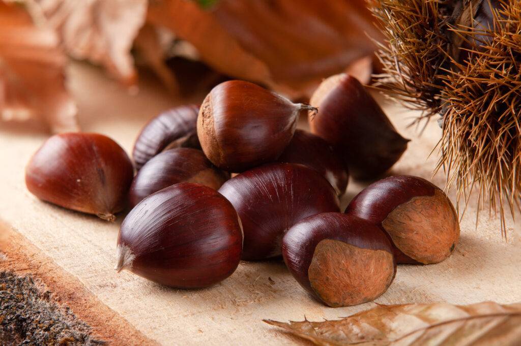 castagne