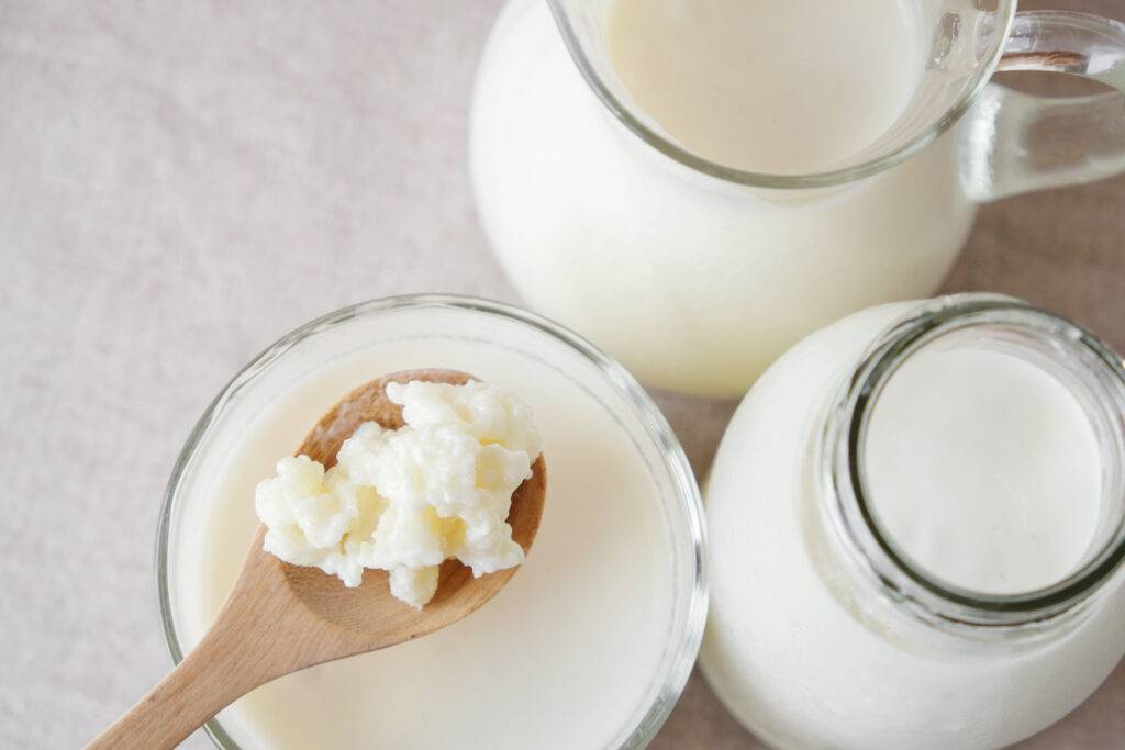 KEFIR: COSA E', COME SI OTTIENE E DIFFERENZE CON LO YOGURT - Dott.ssa  Simona Santini